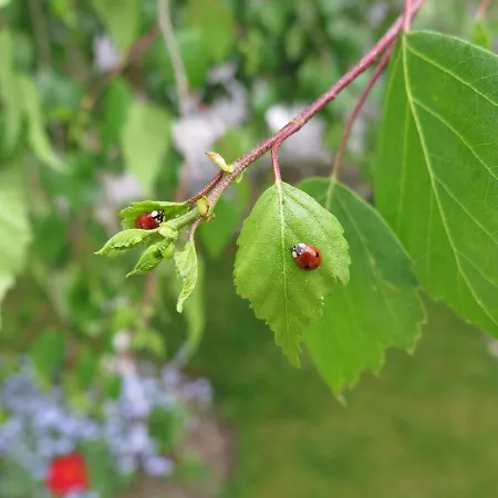Apartament Art Nomay Summercard Blick Of Salzburg Kaprun