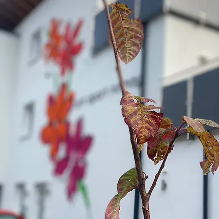 Art Nomay Summercard Blick Of Salzburg Apartament Kaprun