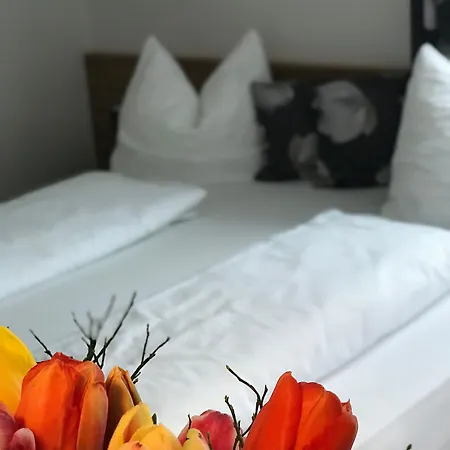 Art Nomay Summercard Blick Of Salzburg Appartamento