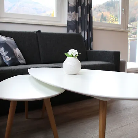 Apartament Art Nomay Summercard Blick Of Salzburg *