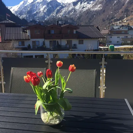 Art Nomay Summercard Blick Of Salzburg * Kaprun