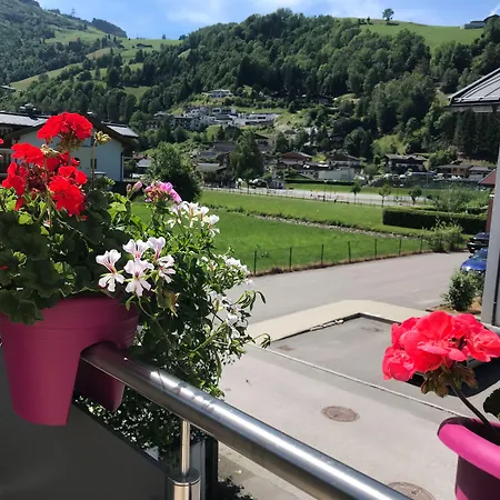 Art Nomay Summercard Blick Of Salzburg *