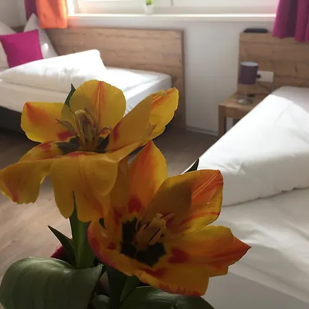 Apartment Art Nomay Summercard Blick Of Salzburg Kaprun