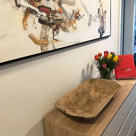 Apartment Art Nomay Summercard Blick Of Salzburg Kaprun
