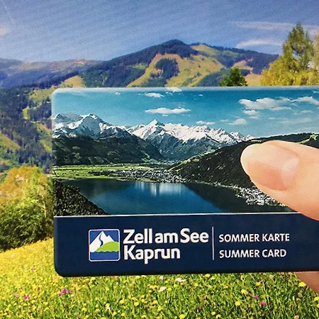 Daire Art Nomay Summercard Blick Of Salzburg