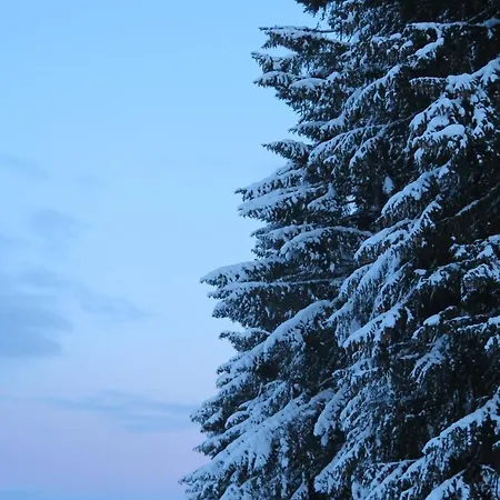 Art Nomay Summercard Blick Of Salzburg Apartament *