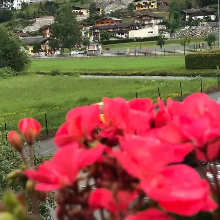 Daire Art Nomay Summercard Blick Of Salzburg *