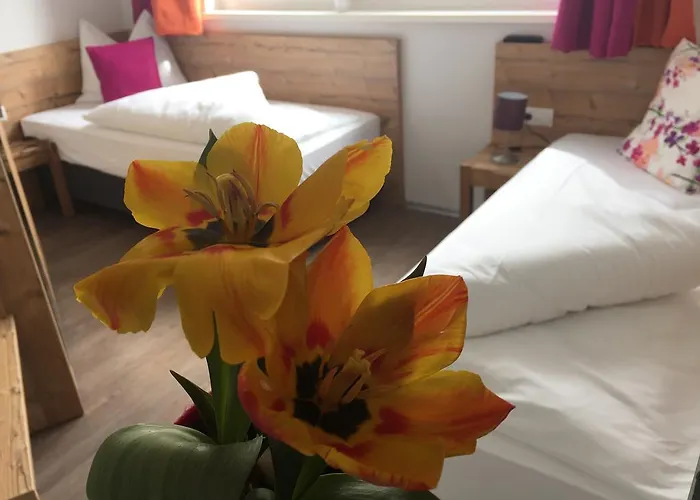 アパート Art Nomay Summercard Blick Of Salzburg カプルーン