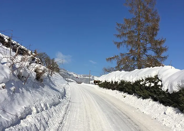 アパート Art Nomay Summercard Blick Of Salzburg カプルーン