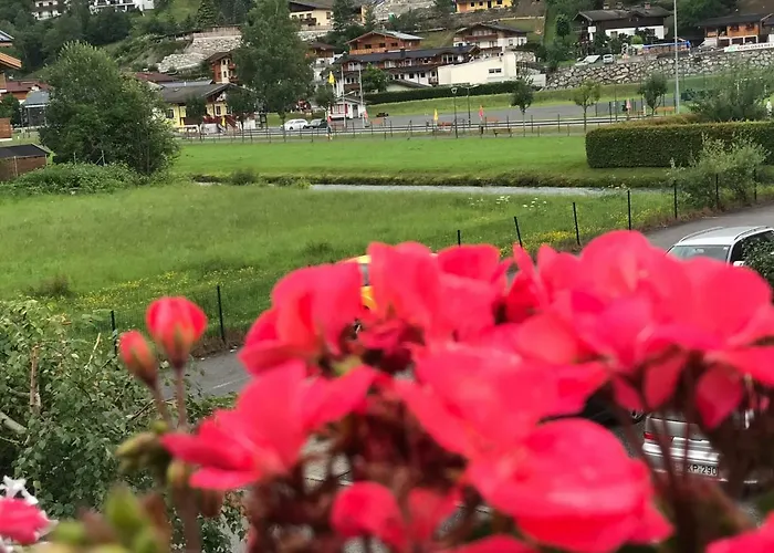 アパート Art Nomay Summercard Blick Of Salzburg *